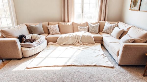 Top coussins déhoussables pour un potentiel confort canin